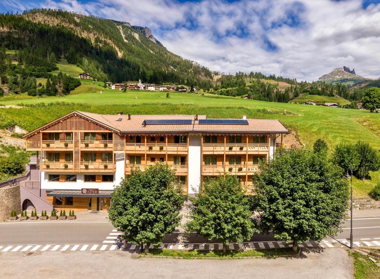 Chalet Aster Moena Exterior photo